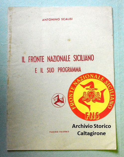 Programma politico del FNS 1966